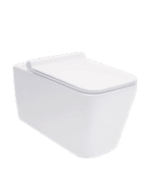 Asianpaints Bathsense Infinite Wall Mounted Closet WH-96-P