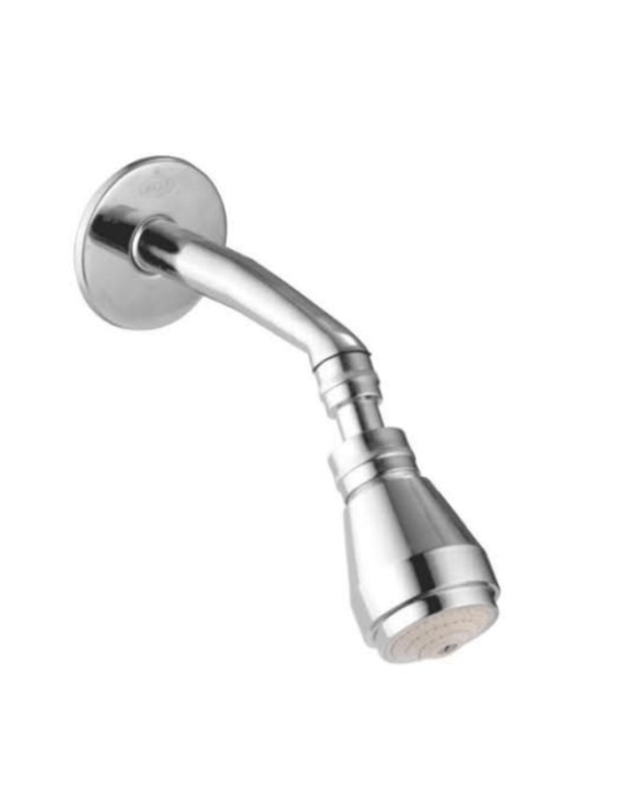 Carnival Conti Bend Brass Shower