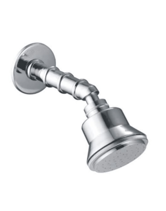 Carnival Cruze Bend Brass Shower
