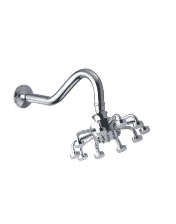 Carnival Zoom Brass Shower