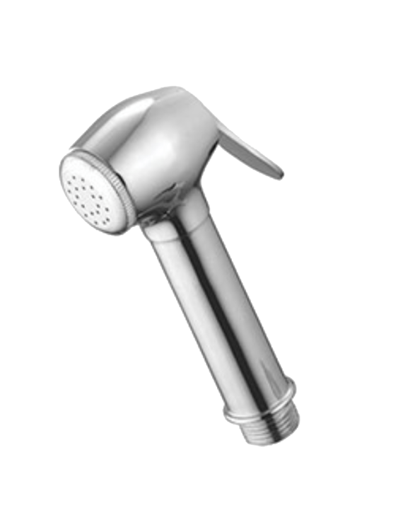 Carnival Dolphin Health Brass Faucet