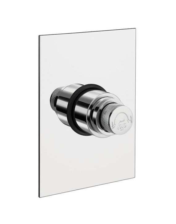 ESS ESS Dual Flush Valve with Square Plate - E-251D-Rail