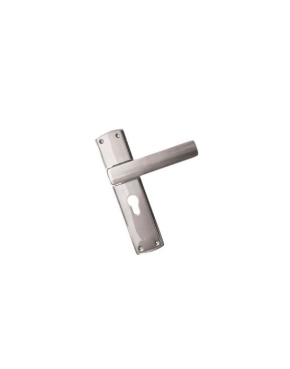 Jainson Cosmo Rose Mortise Handle Lock Combo Set-Stainless Steel Finish-946