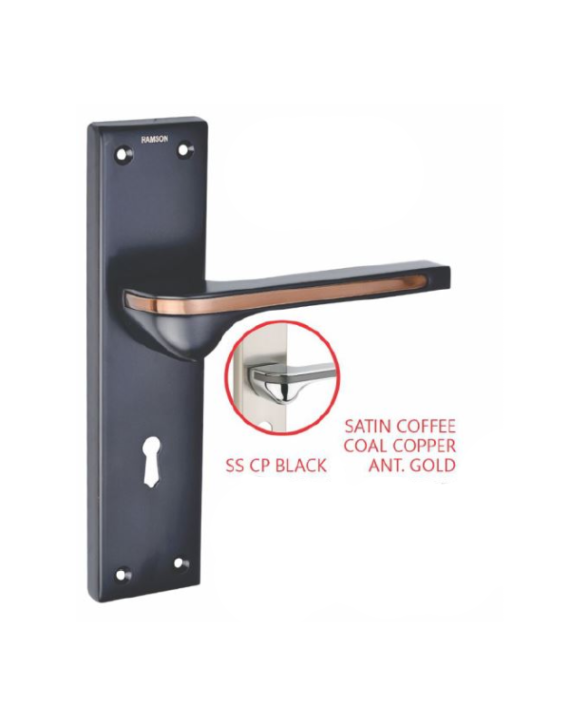 Ramson 10 Inch Raisin SS Plate Zinc HDL CP Black Mortice Handle